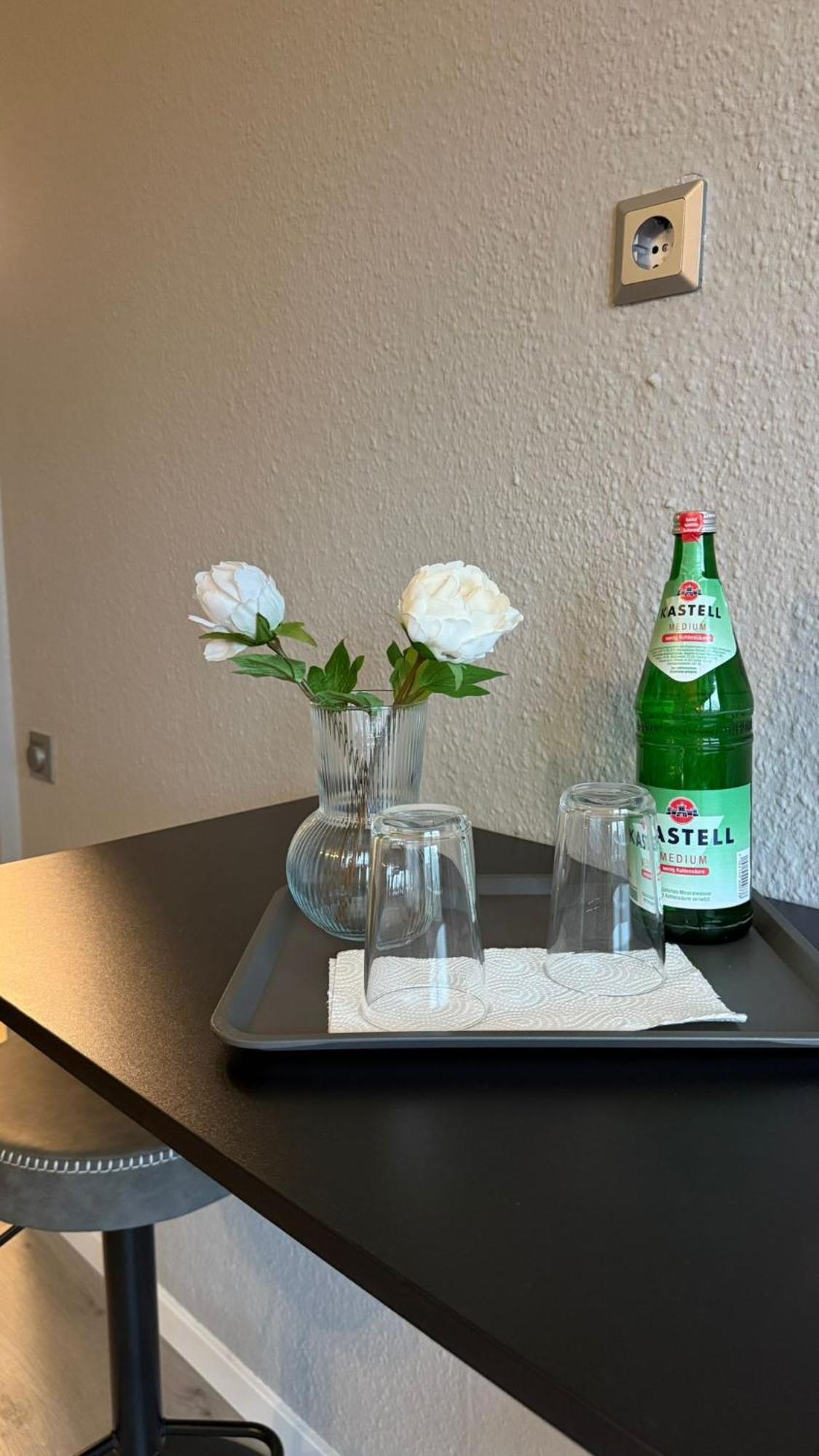 Apartment Schoenes Am Stadtpark *